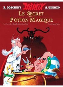 Le secret de la potion magique - Albert-René