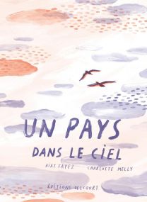 Un pays dans le ciel - Delcourt