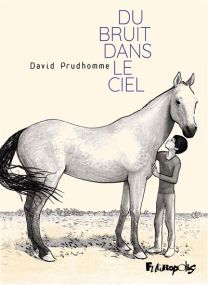 Du bruit dans le ciel - Futuropolis