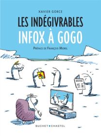Les Indégivrables Infox à gogo - Buchet-Chastel
