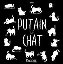 Putain de chat - 4 Volumes - Putain de chat - Coffret 2021 2/2 - Kennes Editions
