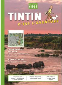 Tintin, c'est l'aventure - Tintin c'est l'aventure 11 - 