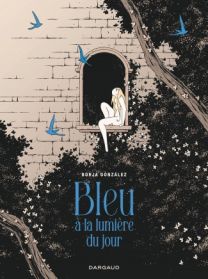 Bleu à la lumière du jour - Dargaud