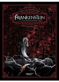 Frankenstein ou le Prométhée moderne - 