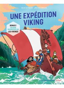 Une expédition viking - 