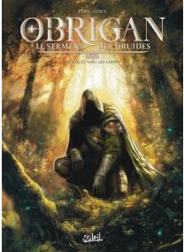 Obrigan - Le Serment des Druides T01 - Soleil