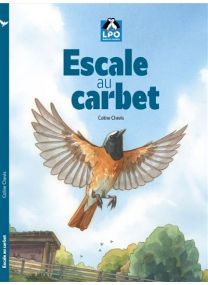Escale au carbet - 