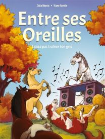 Entre ses oreilles - Tome 02 Laisse pas trainer ton gris - Link Digital