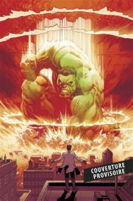 Hulk - Panini Comics