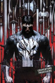 Punisher - Panini Comics