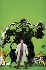 Marvel-Verse : Hulk - Panini Comics