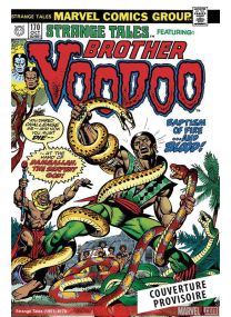 Brother voodoo : l'integrale 1973-1990 (t01) - Panini Comics