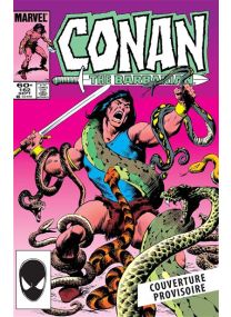 Conan le Barbare : L'intégrale 1984 (T17) - Panini Comics