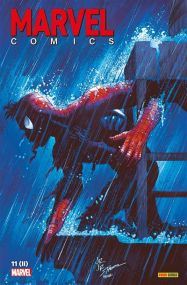 Marvel Comics (II) N°11 - Panini Comics