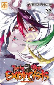 Twin Star Exorcists - Kaze