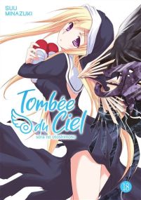 Tombée du ciel - Tombé du ciel - Meian