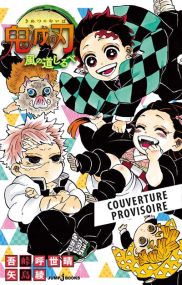 Demon Slayer - Roman - Panini Manga