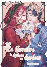 La sorcière du château aux chardons - Tome 4 - Akata