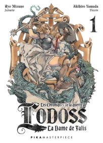 Les Chroniques de la Guerre de Lodoss - La Dame de Falis T01 - Pika