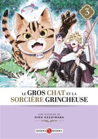 Le Gros Chat et la Sorcière grincheuse - vol. 03 - Bamboo Eds