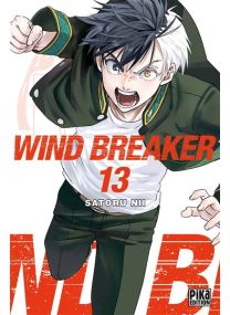 Wind Breaker T13 - 