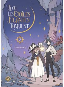 Là où les étoiles filantes tombent - Tome 2 - 