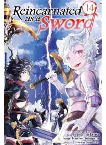 Reincarnated as a sword T14 - 