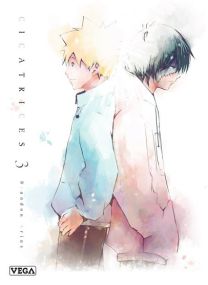 Cicatrices - Tome 3 - 