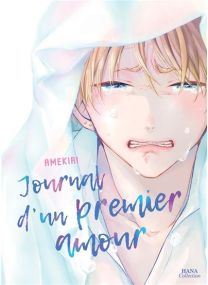 Journal d'un premier amour -