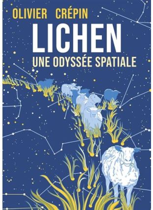 Une odyssée spatiale - Lichen - Presque lune