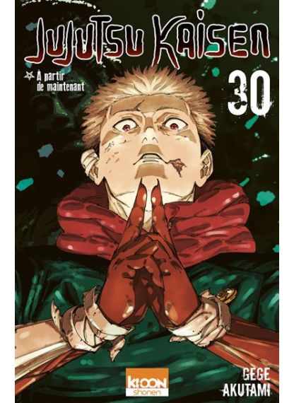 Jujutsu Kaisen T30 -
